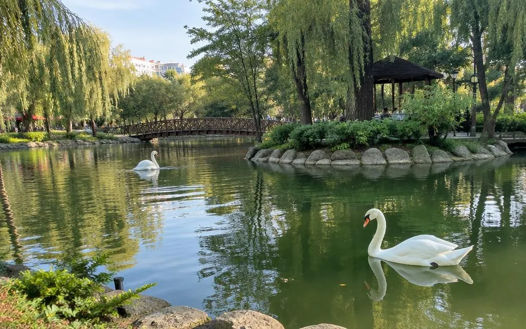Kuğulu Park'ta göl üzerinde yüzen kuğular ve ağaçlar